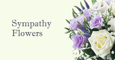 Sympathy Flowers Bayswater