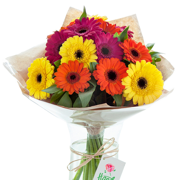 This luminous Gerbera bouquet captures the vibrant spirit of Bayswater, its joyful array of hues mirrored in the cosmopolitan energy found along Queensway or near the entrances to Hyde Park. Each oversized Gerbera bloom is a burst of rich color: radiant yellows like sunshine glinting off the Serpentine, fiery oranges suggesting the warmth of summer afternoons, and lush magentas adding a sophisticated twist. Their signature dark centers provide visual anchor points, drawing the gaze amid the sweep of flat, layered petals. Interspersed leaves of glossy green evoke the tranquillity of local gardens, their texture offsetting the flowers' playful boldness. A light brown kraft paper, artfully gathered around the blossoms, imparts rustic authenticity, while a crinkled sheath of clear cellophane flares outward above the vase, encasing and protecting the arrangement. The transparent glass vase-elegantly filled-shows the bundle of stems, bound together with a simple twine bow. From this, a dainty white tag with a rose motif gently sways, hinting at the attention to detail characteristic of Bayswater's dedicated florists. Soft natural light falls across the scene, intensifying the bouquet's palette and emphasizing its sense of generous abundance. This image perfectly embodies the joy, gratitude, and celebratory flair that define Bayswater flower delivery, making it suitable for commemorating milestones or brightening everyday moments throughout the W2 community.