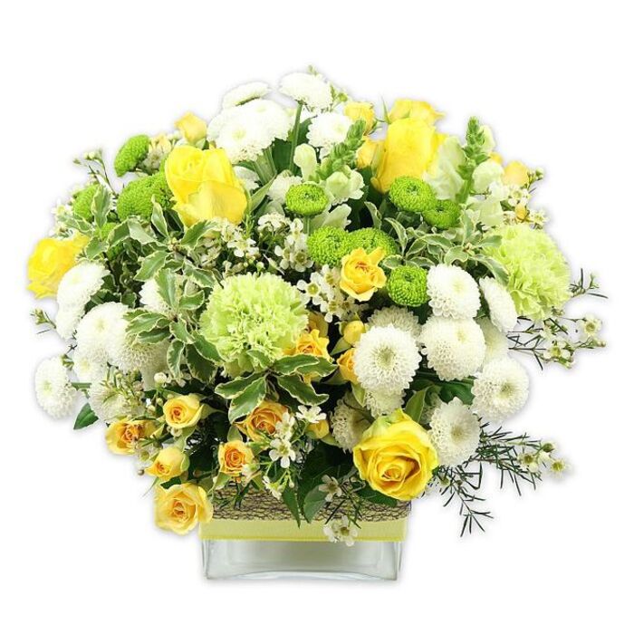 In this image, a meticulously crafted floral arrangement in a square glass vase is photographed against a plain white background, allowing every shade of yellow, white, and green to stand out in crisp detail. The bouquet is shaped into a generous, rounded dome, reminiscent of a polished centrepiece you might find on a breakfast table in a Bayswater apartment overlooking the garden squares. At its core, classic yellow roses provide a warm focal point, their petals layered in soft spirals that catch the light, some fully opened to show their full, velvety faces, others still forming tight buds. Threaded among them are clusters of yellow spray roses, each stem bearing multiple smaller blossoms that lend the design a rich, textured look. White pompom chrysanthemums are spaced evenly throughout, their compact, spherical heads made of countless tiny petals, giving a plush, cushiony dimension that contrasts with the sleekness of the rose petals. Bright lime green button chrysanthemums add vivid points of contrast, their neat, button-like forms energising the composition, while larger, softly ruffled pale green blooms-similar to green carnations or full-petaled mums-introduce a gentle, airy volume. The foliage has been chosen with equal care: broad, variegated leaves with creamy edges frame the base and sides, while finer, darker green sprigs weave in and out, enhancing the natural movement of the arrangement. Scattered between the main flowers are delicate white filler blooms, each tiny, star-like flower lending lightness and intricacy. The clear glass vase, low and rectangular, reveals the bundled stems and water within, but the eye is drawn to the central band around the vase: a rustic, bark-like or woven natural fibre wrap, overlaid with a bright lime green ribbon tied neatly across the middle. This blend of modern glass, rustic texture, and vivid florals creates a mood of cheerful sophistication. It feels perfect for local celebrations in Bayswater-from a sunny birthday brunch near Queensway to a fresh thank-you gift for a neighbour-bringing a sense of joy, vitality, and calm elegance into any nearby W2 space.